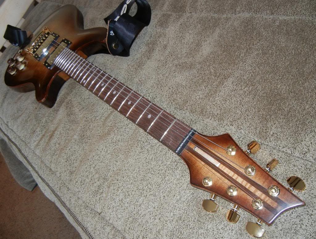 Need Help! Best DIY guide to build guitar bodies and necks?